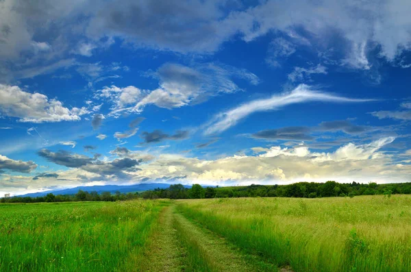 Voorjaarslandschap Regen Intense Blauwe Lucht Wolken — Stockfoto