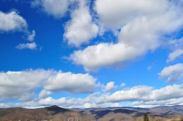 雨后的春景 蓝天白云 — 图库照片