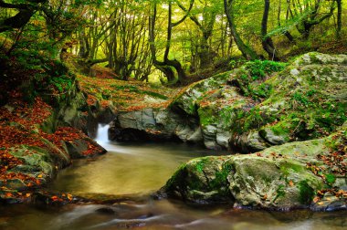 Sonbaharın sonlarında dağ nehri