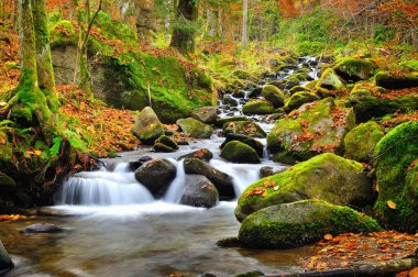 Sonbaharın sonlarında dağ nehri