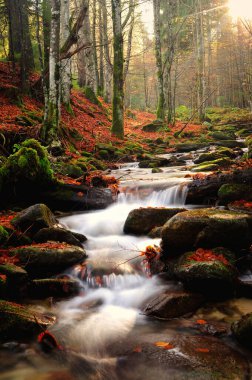 Dağlarda sonbahar nehri