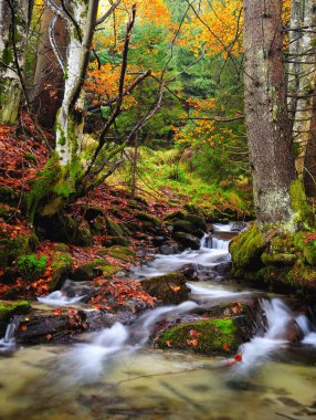 Sonbaharın sonlarında dağ nehri