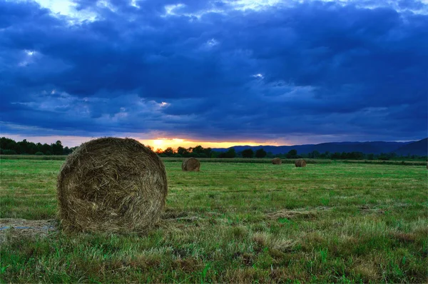 Hay Bales Field Just Storm Hay Bale Farming — Stock Photo, Image