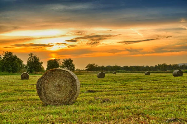 Tramonto Oro Sul Campo Agricolo Con Balle Fieno — Foto Stock