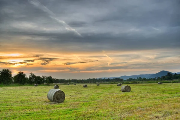 Atardecer Dorado Sobre Campo Granja Con Fardos Heno — Foto de Stock