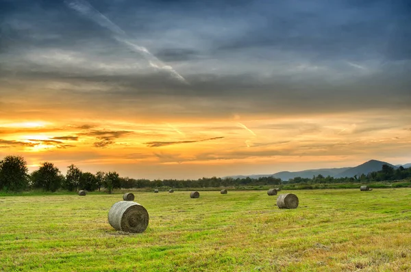 Golden Sunset Farm Field Hay Bales — Stock Photo, Image