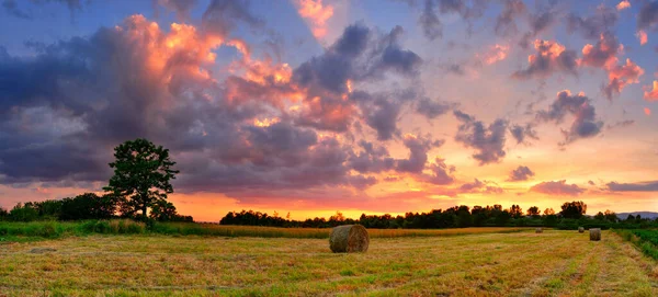 色とりどりの夕日の中の干草畑のパノラマ — ストック写真