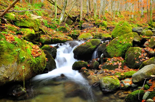 Horská Řeka Konci Podzimu — Stock fotografie
