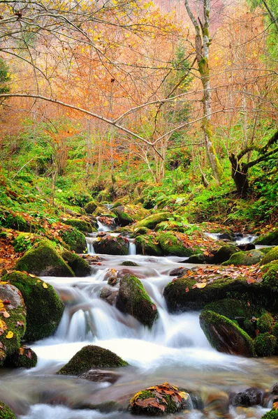 Rivière Montagne Fin Automne — Photo