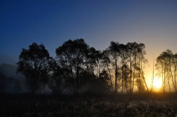 Auringonnousu Sumuisena Aamuna — kuvapankkivalokuva