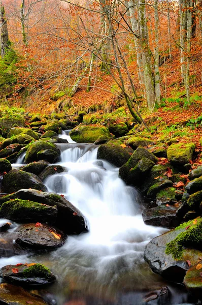 Horská Řeka Konci Podzimu — Stock fotografie
