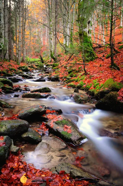Осенняя Река Горах — стоковое фото