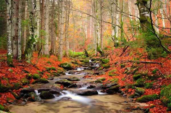 Dağlarda Sonbahar Nehri — Stok fotoğraf