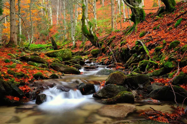 Fiume Autunno Montagna — Foto Stock