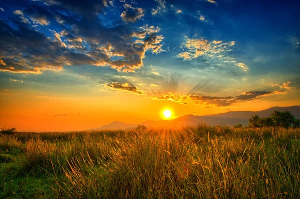 Raios Luz Enchendo Céu Campo Verão Laranja — Fotografia de Stock