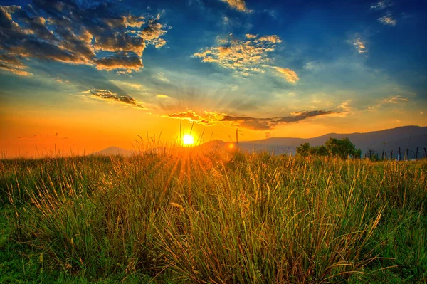 Lichtstrahlen Erfüllen Den Himmel Einem Orangefarbenen Sommerfeld — Stockfoto