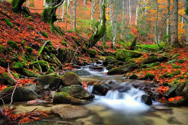Dağlarda Sonbahar Nehri — Stok fotoğraf