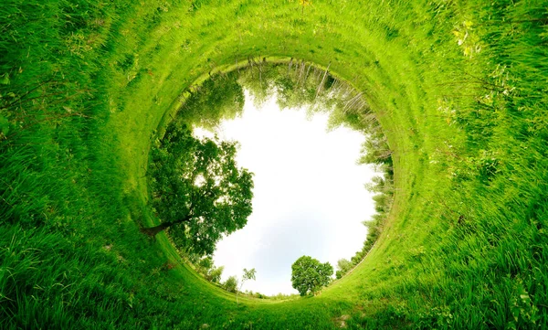 Stereographic Panoramic Projection Green Field Trees — Stock Photo, Image