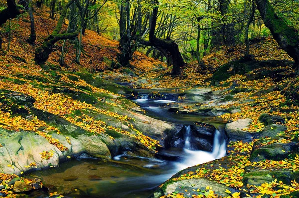 Fiume Bellissimi Colori Autunnali Con Foglie — Foto Stock