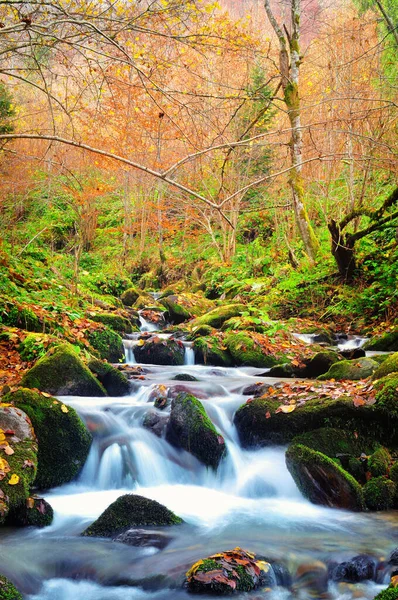 Górska Rzeka Późną Jesienią — Zdjęcie stockowe