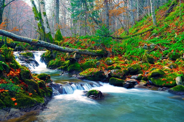 Fiume Montagna Nel Tardo Autunno Con Albero Caduto — Foto Stock