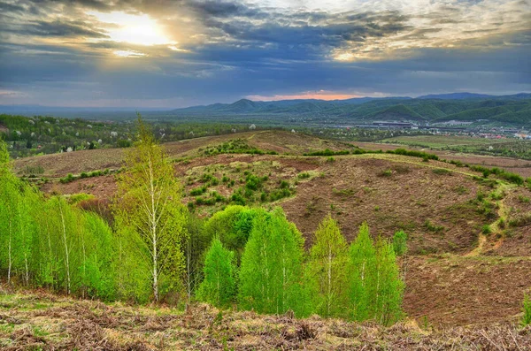 Pôr Sol Primavera Campo — Fotografia de Stock