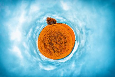 Yazın estetik bir ağaçla portakal tarlasının stereografik panoramik yansıması. 360 derece panorama.