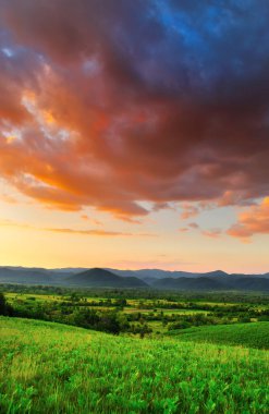Doğada renkli gün batımı. 