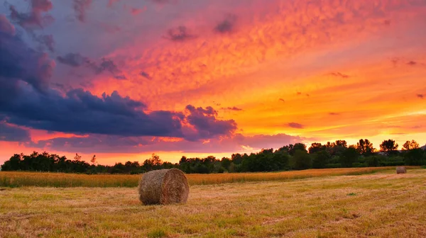Saman balyaları renkli günbatımında