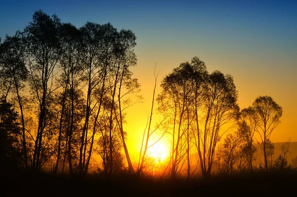 Syksyn Auringonnousu Sumu Maassa — kuvapankkivalokuva