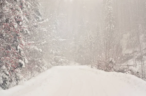 Estrada Floresta Inverno Nas Montanhas — Fotografia de Stock