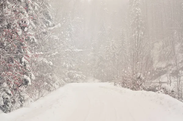 Strada Forestale Invernale Montagna — Foto Stock