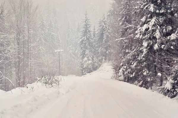 Zimní Lesní Cesta Horách — Stock fotografie