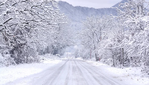 Zimní Cesta Zamrzlými Stromy — Stock fotografie