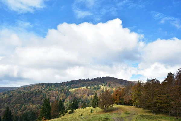 Horský Les Konci Podzimu — Stock fotografie