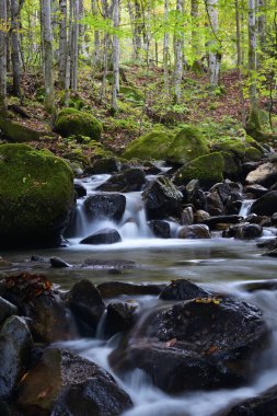 Sonbaharda dağ şelalesi