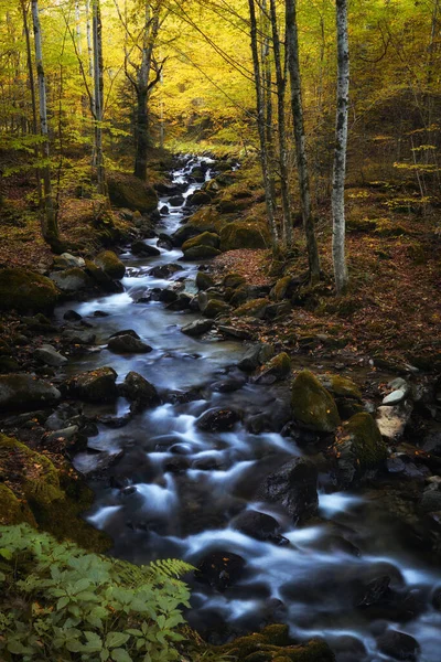 Φθινοπωρινό Τοπίο Ποτάμι Περνά Μέσα Από Ορεινό Δάσος — Φωτογραφία Αρχείου