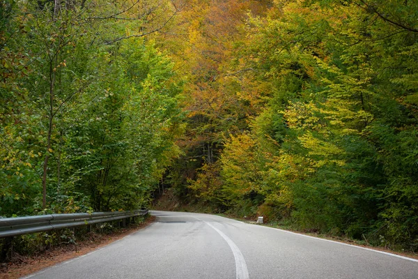 Старая Асфальтовая Дорога Осеннем Лесу — стоковое фото