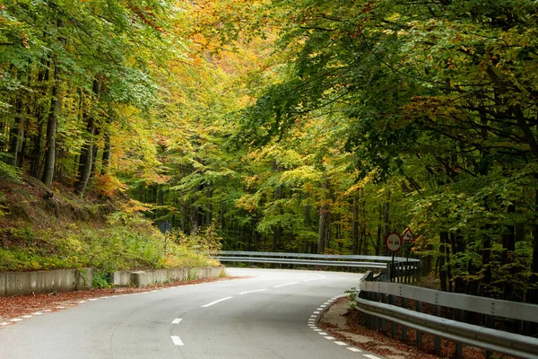 Větrná Asfaltová Cesta Podzimním Lese — Stock fotografie