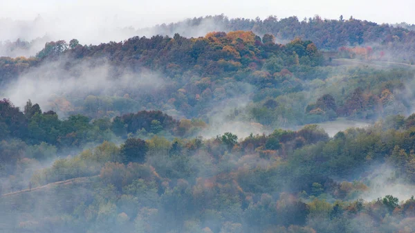 Podzimního Lesa Stoupá Mlha Mraky — Stock fotografie
