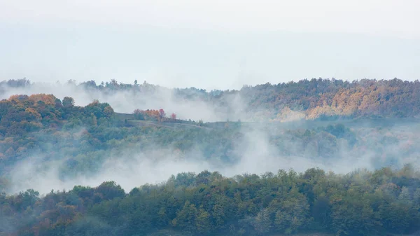 Nebbia Nubi Che Salgono Una Foresta Autunno — Foto Stock