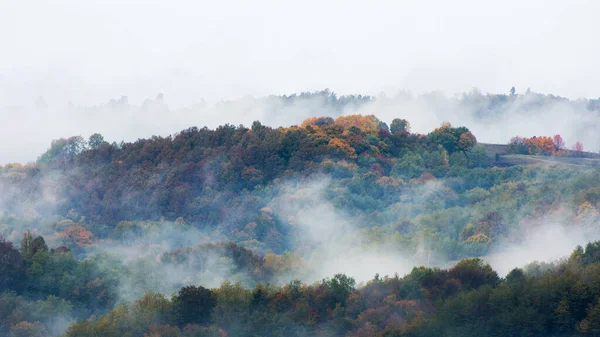 Nevoeiro Nuvens Subindo Uma Floresta Outono — Fotografia de Stock