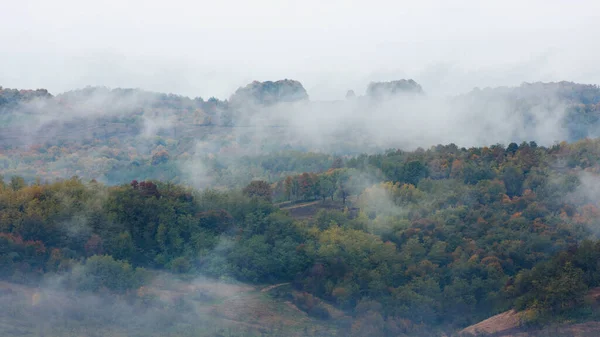 Fog Clouds Rising Autumn Forest — Stock Photo, Image