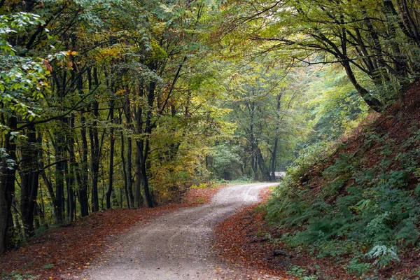 Stará Prašná Cesta Podzimním Lese — Stock fotografie