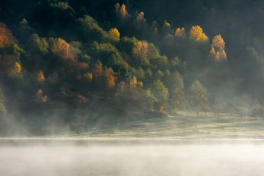 Güzel sonbahar ormanı sisli gölde yansıyor.