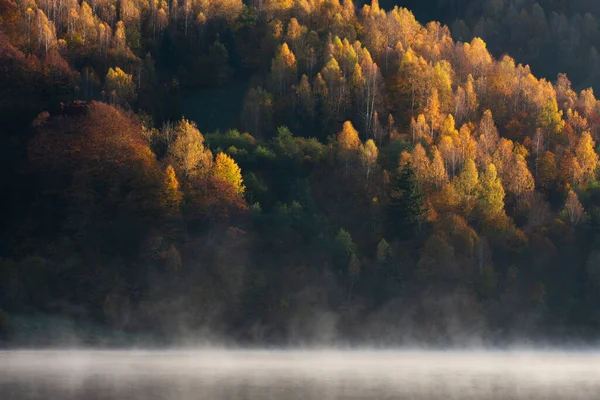 Nebel Bedeckt Den See Herbst Reflexion Des Waldes — Stockfoto