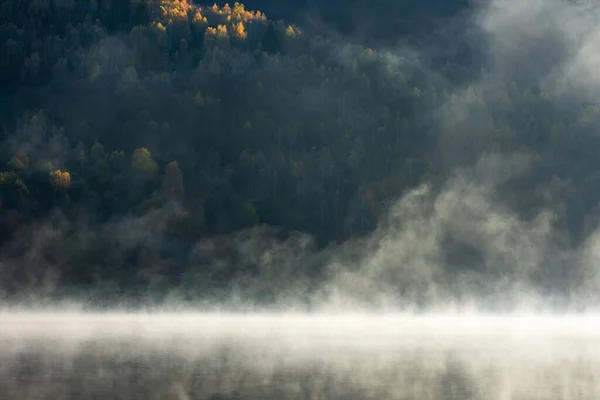 Dimmig Morgon Över Hösten Sjö Skog Bakgrunden — Stockfoto