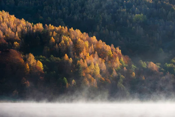 Nevoeiro Cobrindo Lago Outono — Fotografia de Stock