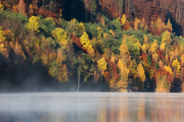 Niebla Que Cubre Lago Otoño Reflejo Del Bosque —  Fotos de Stock