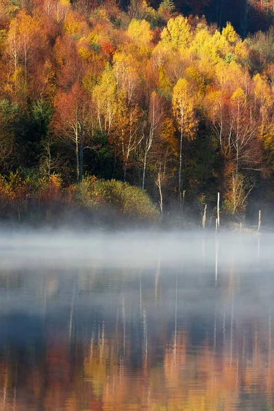 Prachtig Herfstbos Reflecterend Mistig Meer — Stockfoto